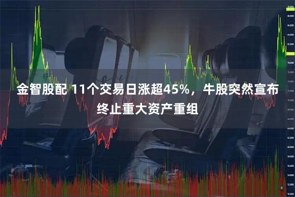 金智股配 11个交易日涨超45%，牛股突然宣布终止重大资产重组
